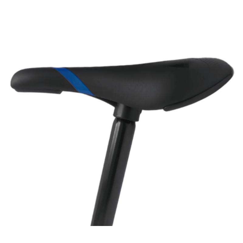 saddle